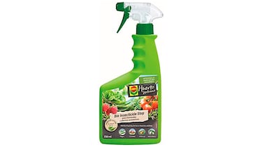 El insecticida natural para plantas que elimina las plagas más comunes