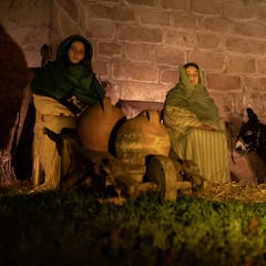 ¿Es legal tener animales en un belén viviente con la nueva Ley de bienestar animal?