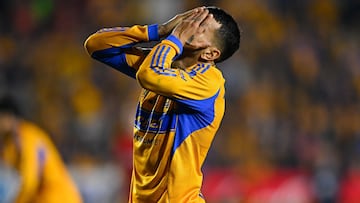La estadística que pone al Tigres como favorito sobre Puma