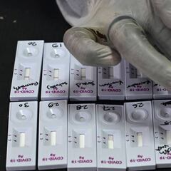 Serum Institute of India halts Oxford Covid-19 vaccine trial