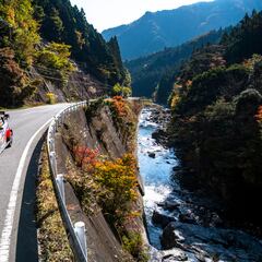 Neuville le ‘roba la cartera’ a Evans