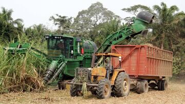 Restricción vehicular: qué placas circulan hoy 21 de septiembre