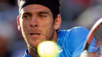 Del Potro se cita con Federer en segunda ronda