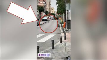 ¡Animales en pleno Madrid! consecuencias de la cuarentena