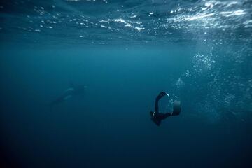 El cinco veces campeón mundial de apnea, el francés Arthur Guerin-Boeri, nada junto a una orca en el Océano Glaciar Ártico.