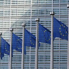 Suecia pone en jaque el catalán, el vasco y el gallego en la UE