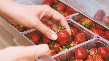 Thermotherapy is a technique that kills all bacteria by simply washing the fruit with hot water, then cold water, and drying the fruit thoroughly.