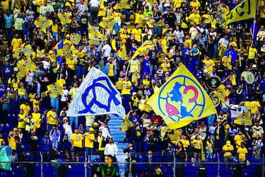 Molestia y desconexión: así vive la afición mexicana el futbol 