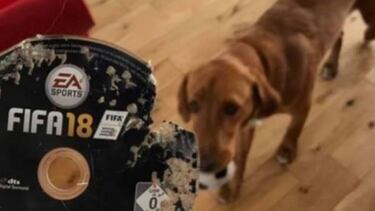 La historia del perro que se comió un FIFA 18 para PS4