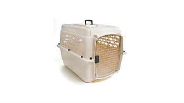 Viajar con mascotas: Destinos, hoteles y accesorios