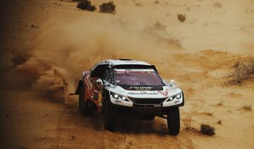 Cyril Despres y Michael Horn. 