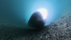Le cae la cámara al fondo del mar y consigue imágenes increíbles
