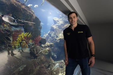 España reordena el mundo