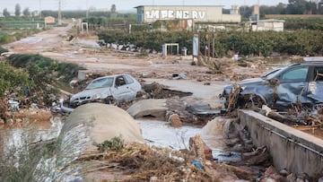 Efectos de la DANA en el municipio de Alfafar, a 30 de octubre de 2024, en Valencia, Comunidad Valenciana (España). La Comunitat Valenciana ha registrado la gota fría "más adversa" del siglo en la región. La Generalitat ha activado el procedimiento de múltiples víctimas por "prevención de lo que pueda venir", después de que el primer balance apunte a 51 víctimas mortales como consecuencia del temporal. En estos momentos, todavía hay personas esperando a ser rescatadas y puntos sin cobertura de telefonía y sin luz.
30 OCTUBRE 2024;DANA;RIADA;ALFAFAR;VALENCIA;LLUVIA;COCHES
Rober Solsona / Europa Press
30/10/2024