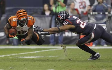 Imágenes y frases de wild card