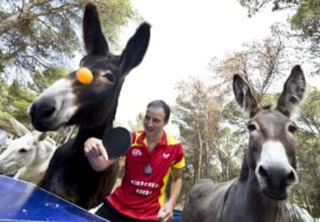 El campeón de España de tenis de mesa, Carlos David Machado, rodeado de varios burros que le han acompañado en el partido disputado esta mañana en la reserva de la Asociación en Defensa del Borrico.