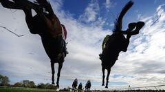 Una perspectiva diferente en las carreras de caballos