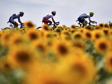 Caleb Ewan se impuso en la etapa 11 del Tour de Francia. Egan Bernal y Nairo Quintana se mantienen en el top 10 y Rigoberto Ur&aacute;n subi&oacute; un puesto en la general.