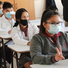 Postulaciones a colegios con sistema SAE: requisitos, fechas y qué debo saber