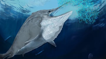 Descubren restos fósiles de uno de los animales más grandes del planeta