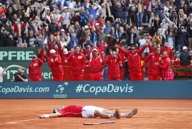 David Ferrer celebr la victoria sobre Kohlschreiber.