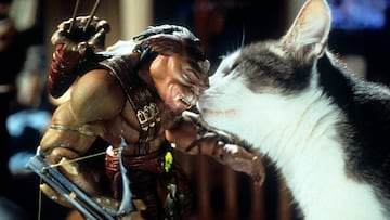 pequeños guerreros archer gorgonitas gato