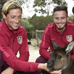 La curiosa anécdota de Saúl sobre el día que conoció a Torres