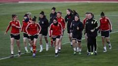 Muchas caras nuevas para los dos amistosos de la Selección