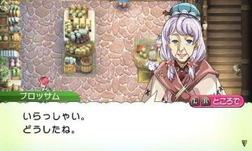 Captura de pantalla - Rune Factory 4 (3DS)