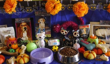 Fecha exacta para poner la ofrenda de las mascotas en Día de los Muertos 2025