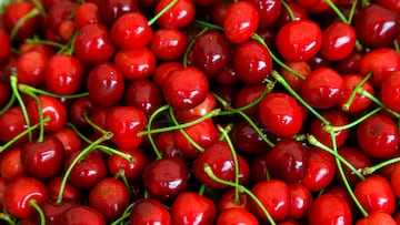 Red cherries with green stems, top view. High quality photo