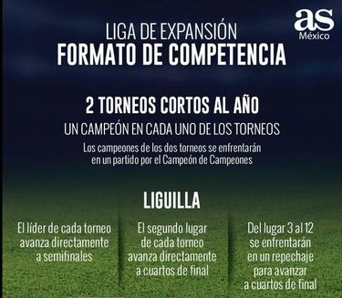 Liga de Expansión MX: 17 equipos; 12 calificarán a fase final
