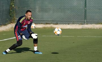 La Selección Colombia realizó su primer entrenamiento en Alicante y se prepara para los amistosos ante Chile y Argelia. 
