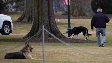 The first family dogs, Major and Champ, were returned to President Joe and first lady Jill Biden&rsquo;s home in Delaware after an incident at the White House.