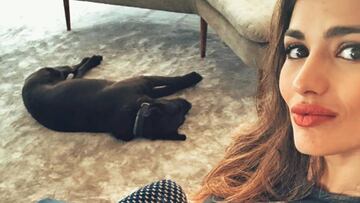 Miel, la perra de Sara Sálamo e Isco, se lanza al mundo de la interpretación.