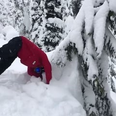 Salva a su padre de morir en un "tree well" gracias a TikTok