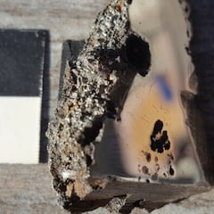 Descubren dos nuevos minerales en los restos de un meteorito