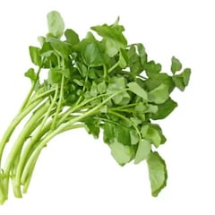 El alimento más sano del mundo