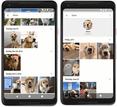 Google Fotos facilita la organización de fotos con mascotas