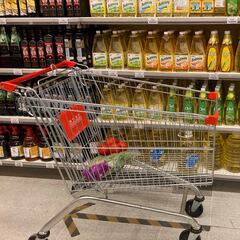 Subsidio Canasta Básica: fechas, montos, requisitos y dónde inscribirse