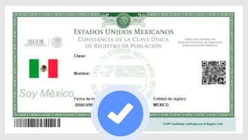 Nueva CURP certificada: dónde puedo descargárla por Internet para que sea válida