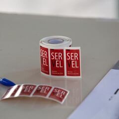 Elecciones Primarias Servel 2021: ¿cuáles son las opciones de voto?