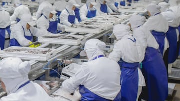 Adiós definitivo: empresa cierra sus puertas después una década y afectará a 3.000 trabajadores