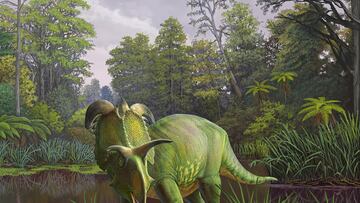 The new dinosaur named Lokiceratops was unearthed in Montana and is now housed in Denmark. Find out more about the creature named after the Norse god Loki.