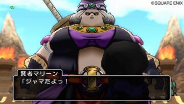 Captura de pantalla - Dragon Quest X (Wii)