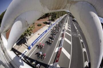 El pelotón durante la decimosegunda etapa de la Vuelta Ciclista a España con un recorrido de 166,4 kilómetros con salida y llegada de la capital riojana.