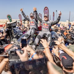 El año de Martín y Verstappen