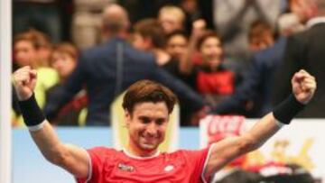 David Ferrer.