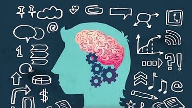 La neurociencia y los autos: ¿Qué tan ligadas están una de la otra?