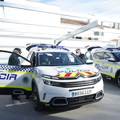 A “wolf girl” rescued in Spain: she was raised in a Swiss forest